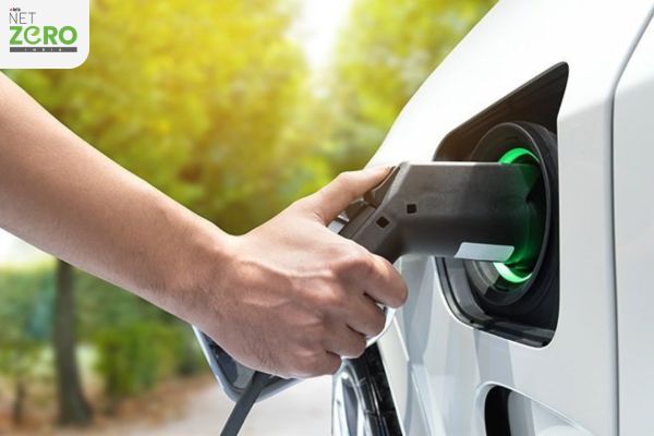 MoEVing to Deploy 700 Tata EVs for Green Deliveries
