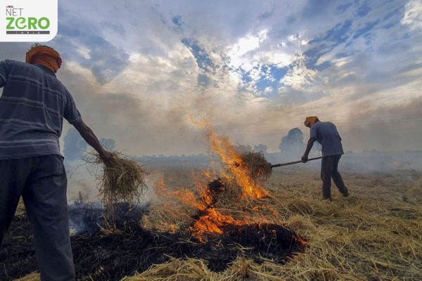 Centre’s ₹3,120 Crore Push Helps Punjab and Haryana Sharply Cut Stubble-Burning Cases